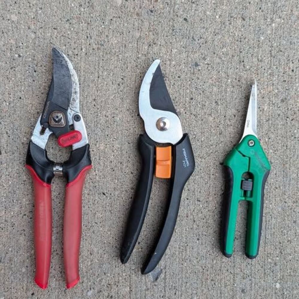 Garden Tool Lot - Corona, Fiskars, and AeroGarden Pruning Shears and Snips